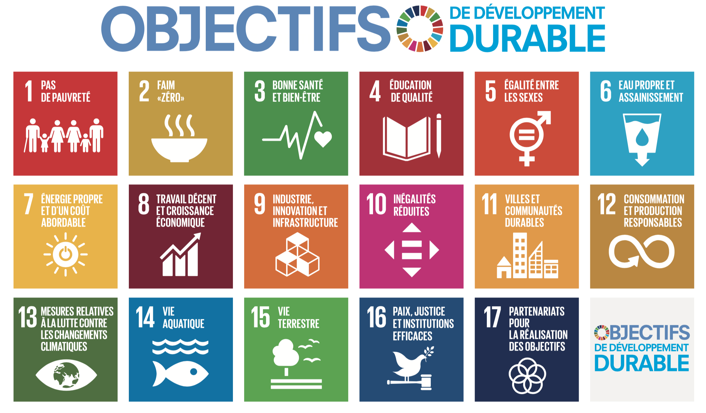 objectifs de développement durable jceb bordeaux